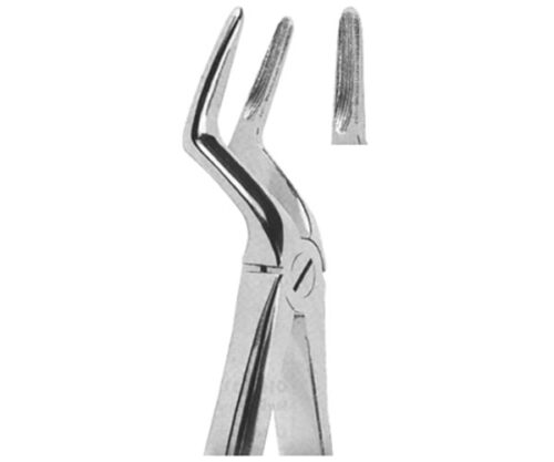 Extracting Forceps English Pattern